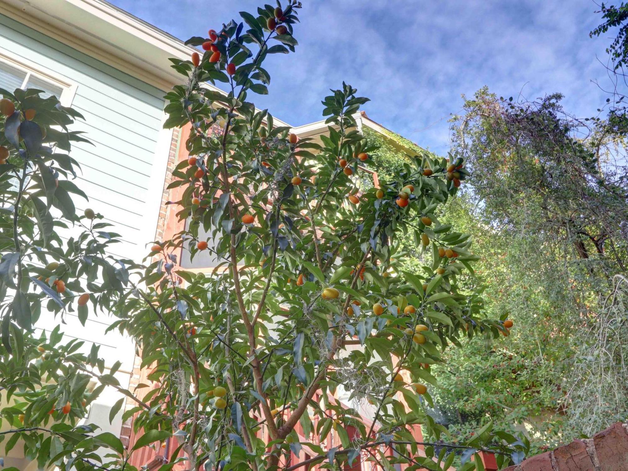 Crawford Carriage House Apartment Savannah Exterior foto